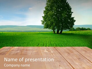 Summer Countryside Sky PowerPoint Template