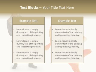 Leisure Gold Fish Hunting PowerPoint Template