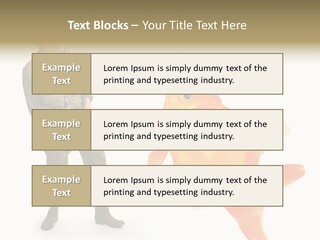 Leisure Gold Fish Hunting PowerPoint Template