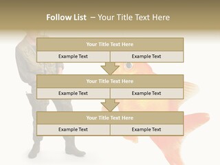 Leisure Gold Fish Hunting PowerPoint Template