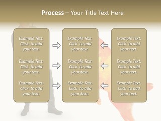 Leisure Gold Fish Hunting PowerPoint Template