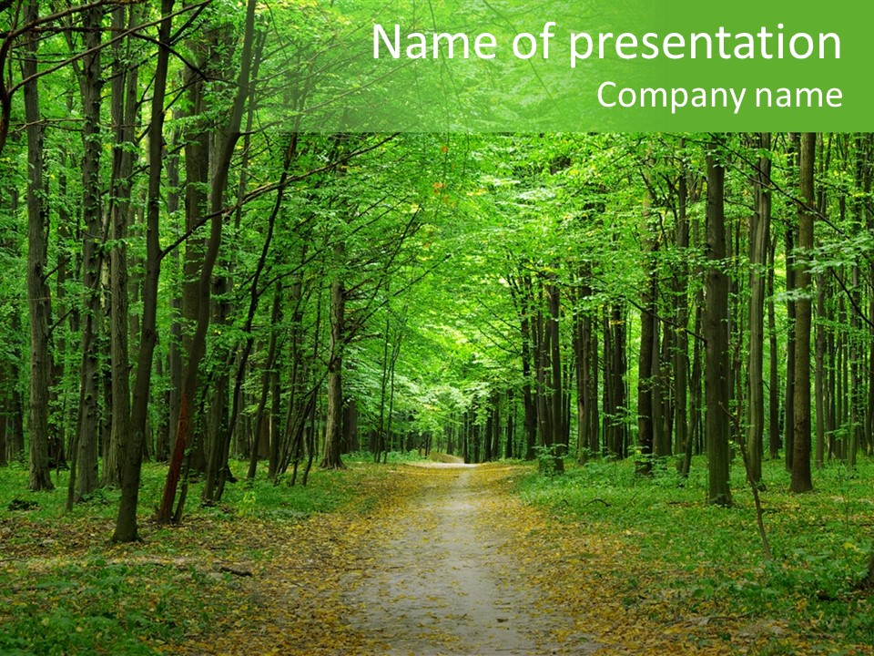 Environment Scene Pine PowerPoint Template