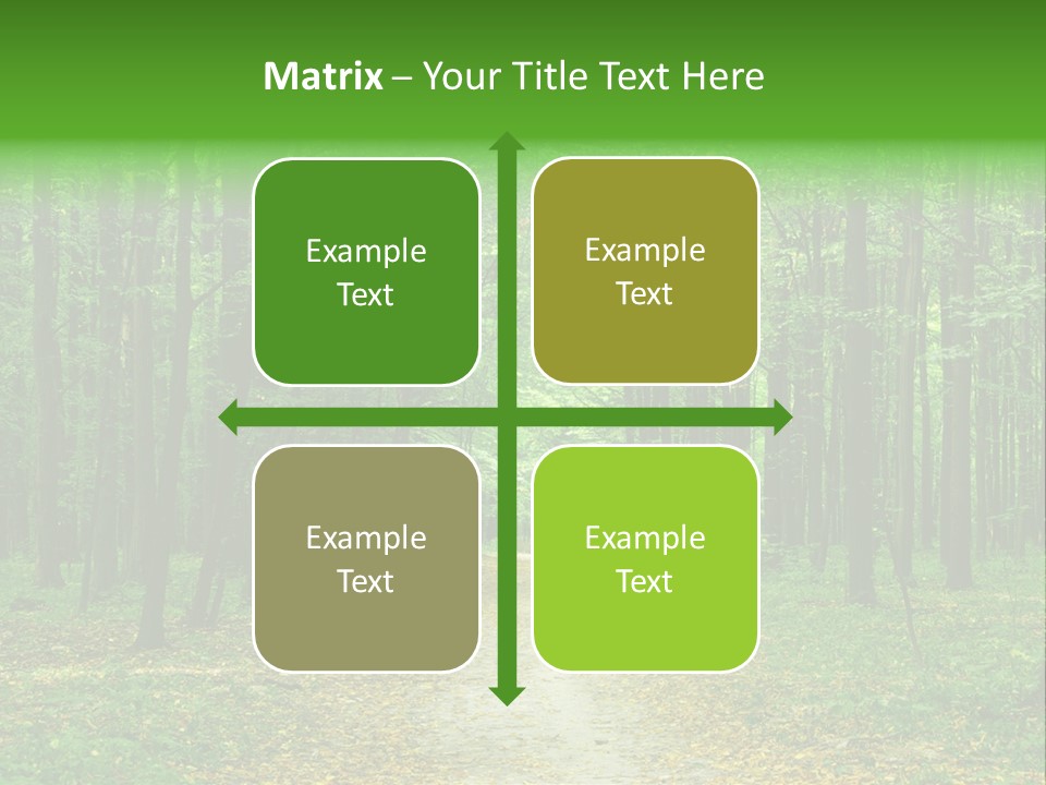 Environment Scene Pine PowerPoint Template