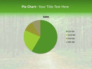 Environment Scene Pine PowerPoint Template