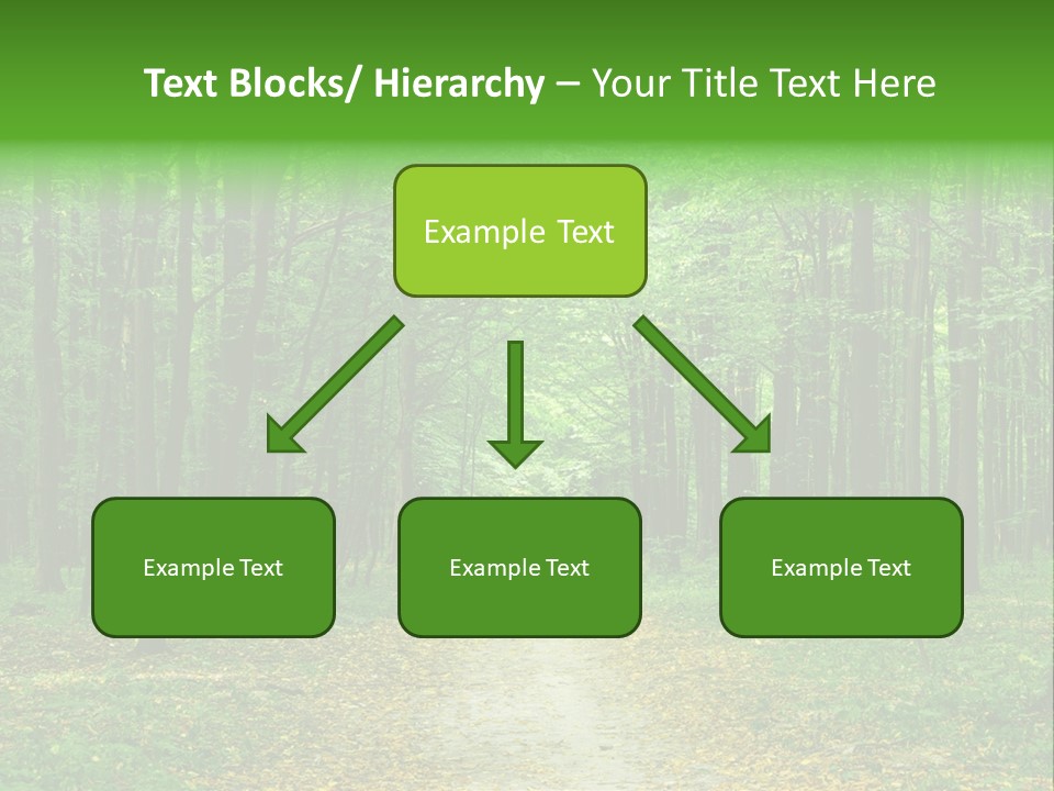 Environment Scene Pine PowerPoint Template