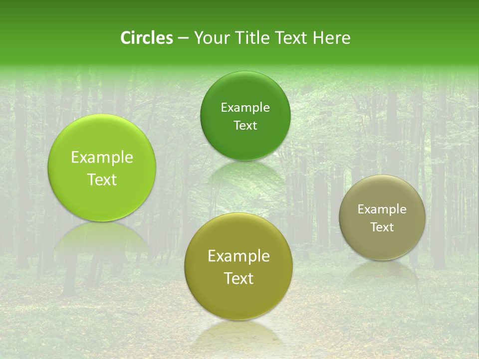 Environment Scene Pine PowerPoint Template