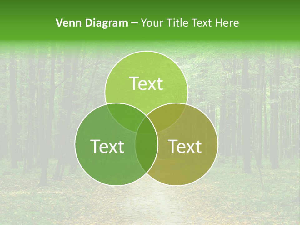 Environment Scene Pine PowerPoint Template