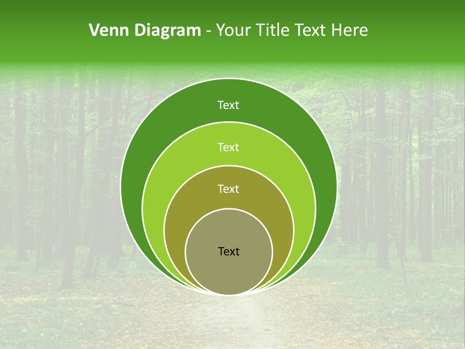 Environment Scene Pine PowerPoint Template