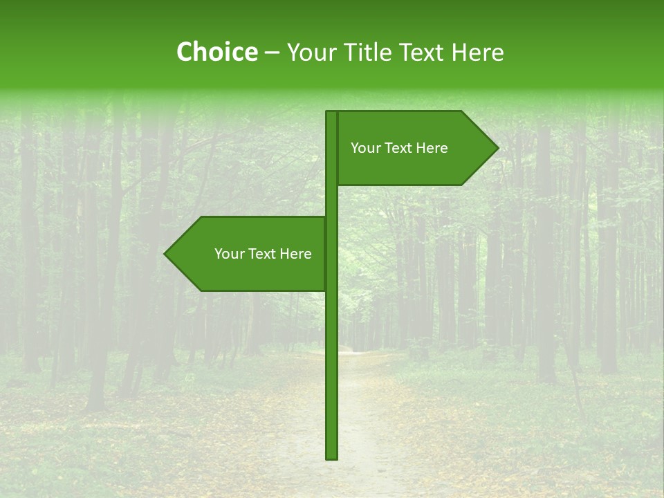 Environment Scene Pine PowerPoint Template