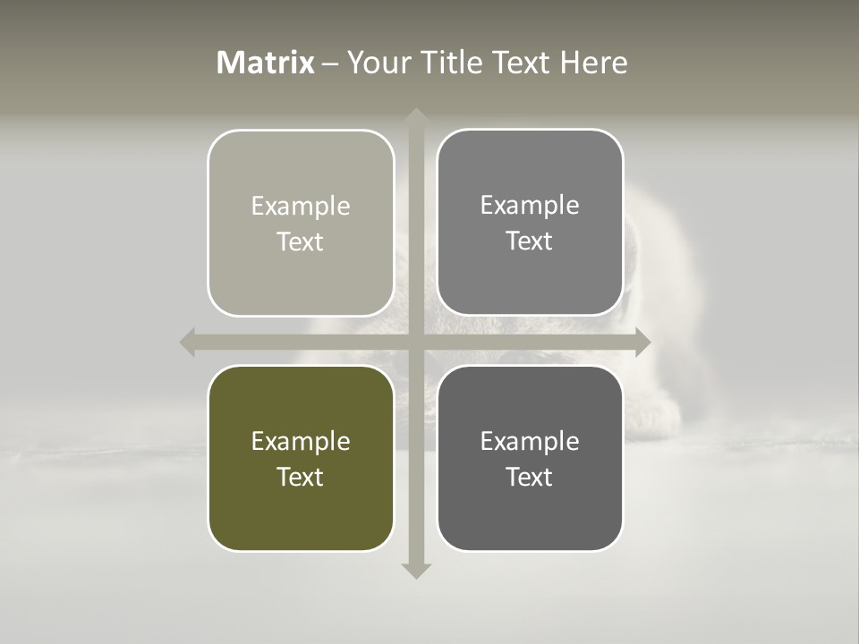 Puss Indoor Beauty PowerPoint Template