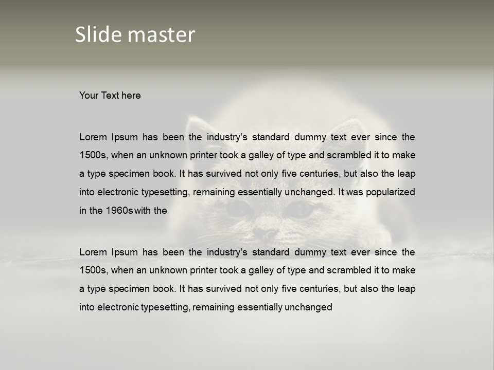 Puss Indoor Beauty PowerPoint Template