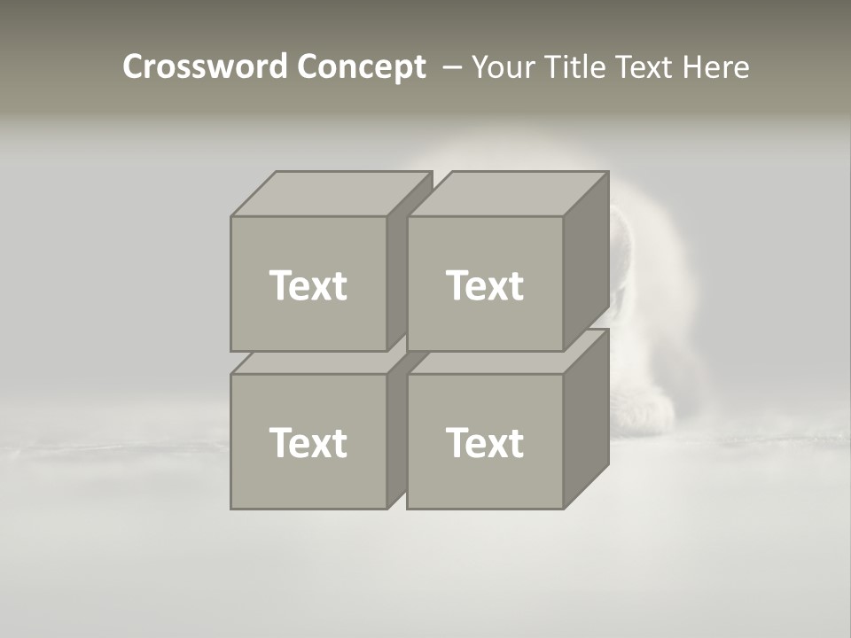Puss Indoor Beauty PowerPoint Template