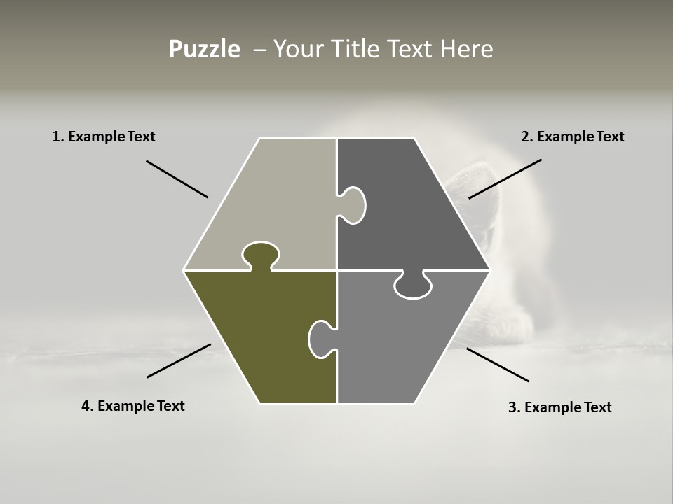 Puss Indoor Beauty PowerPoint Template