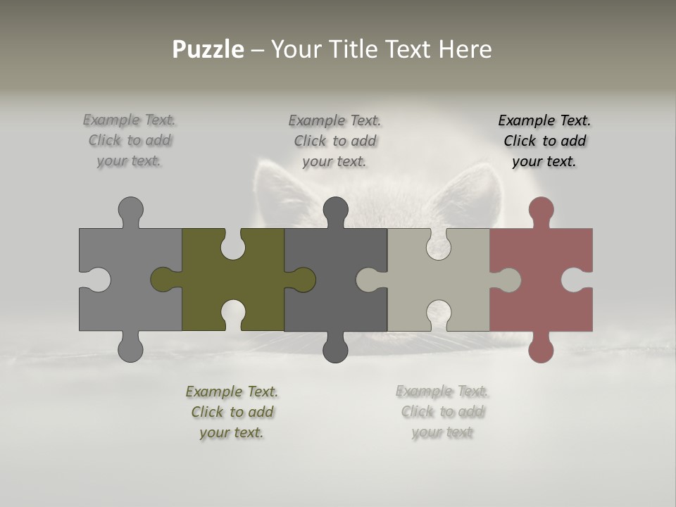 Puss Indoor Beauty PowerPoint Template