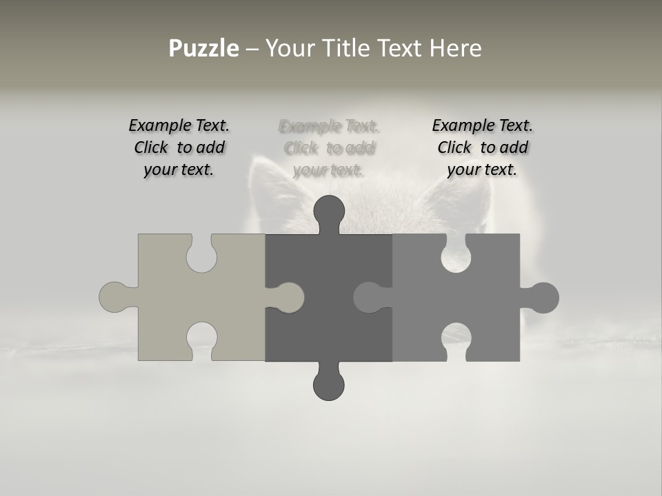 Puss Indoor Beauty PowerPoint Template