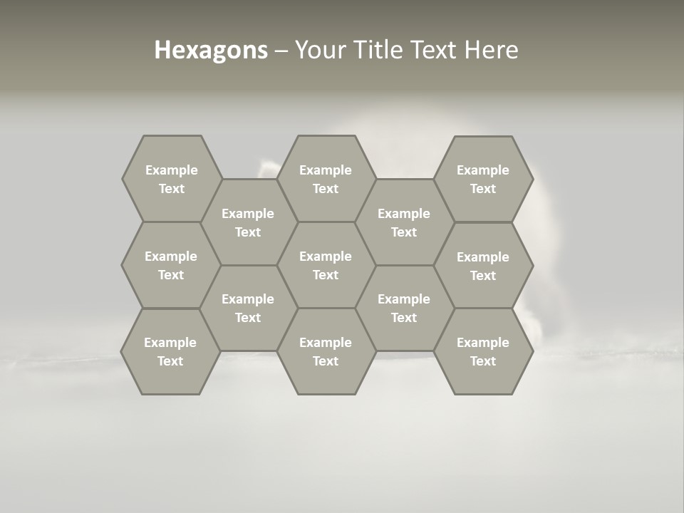 Puss Indoor Beauty PowerPoint Template