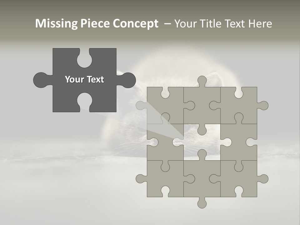 Puss Indoor Beauty PowerPoint Template