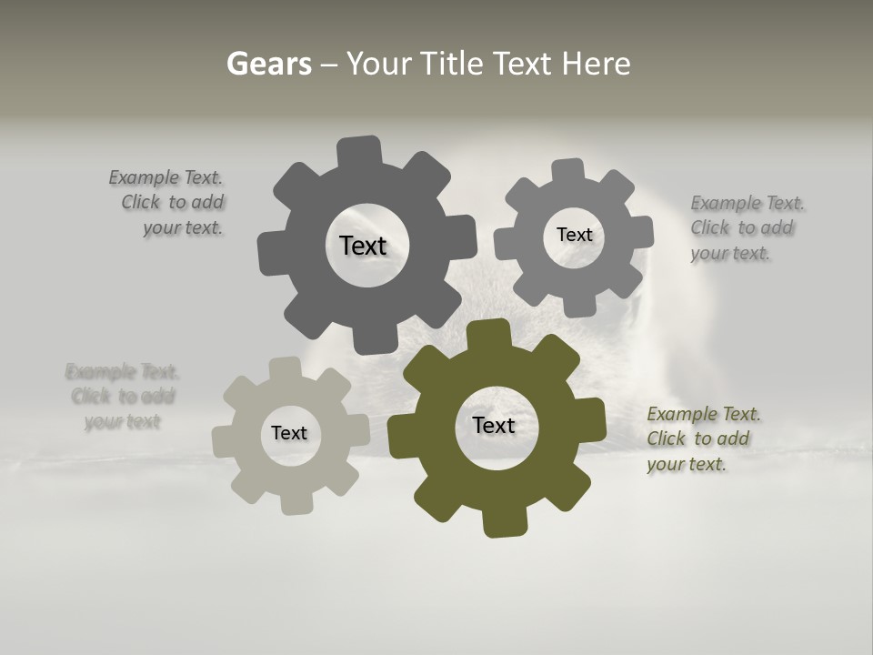 Puss Indoor Beauty PowerPoint Template