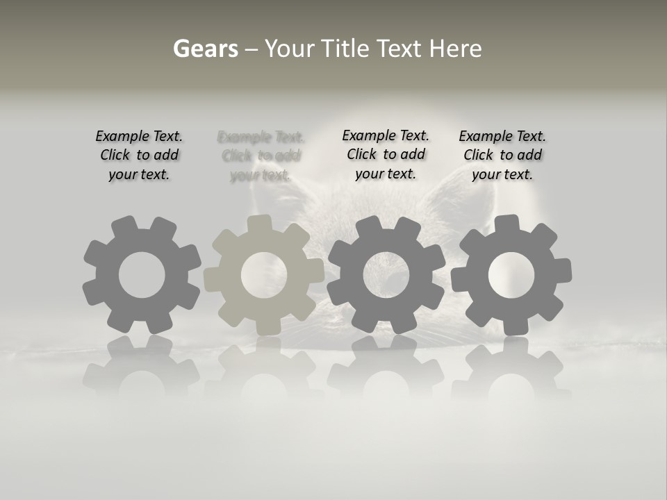 Puss Indoor Beauty PowerPoint Template