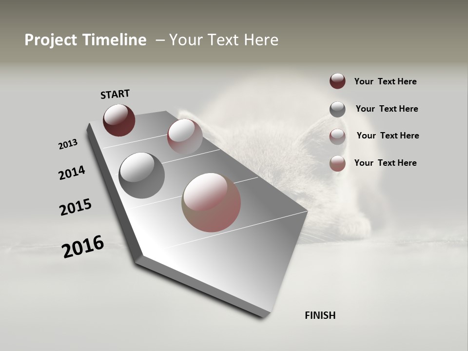Puss Indoor Beauty PowerPoint Template