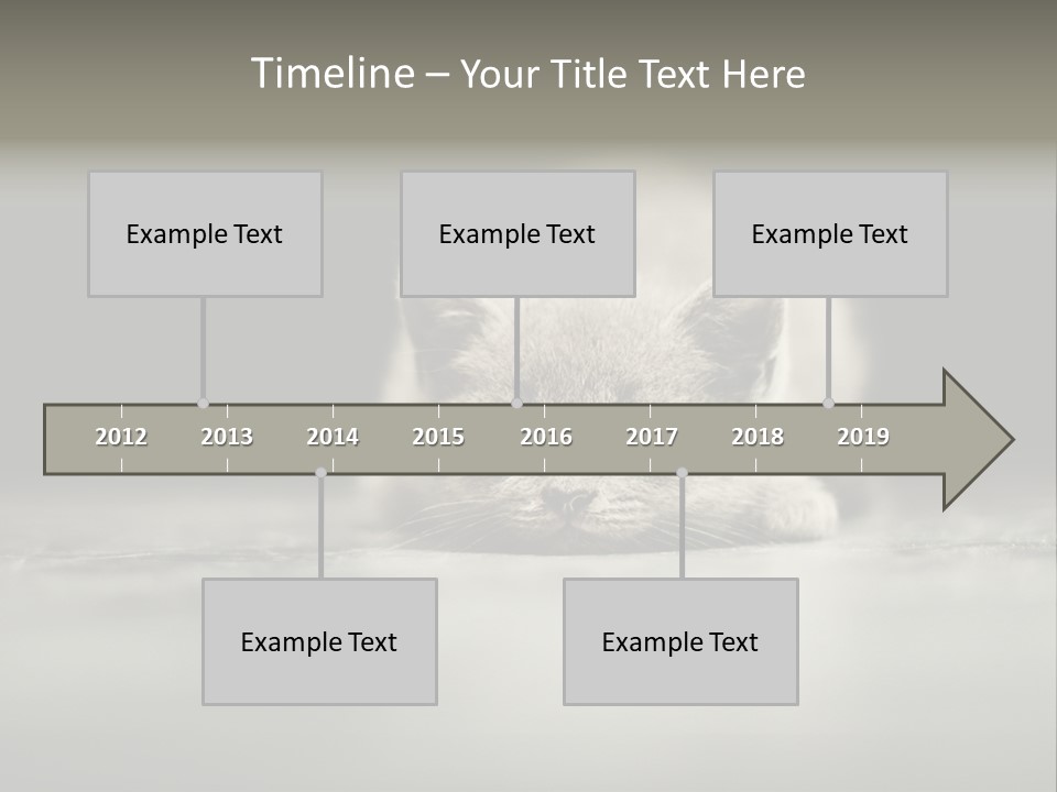 Puss Indoor Beauty PowerPoint Template