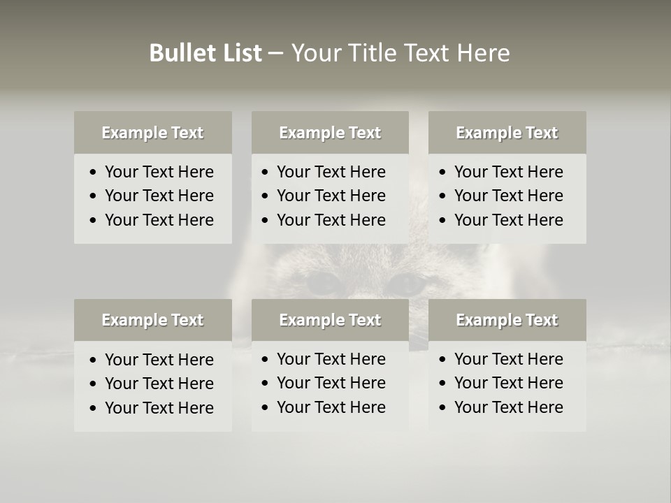 Puss Indoor Beauty PowerPoint Template