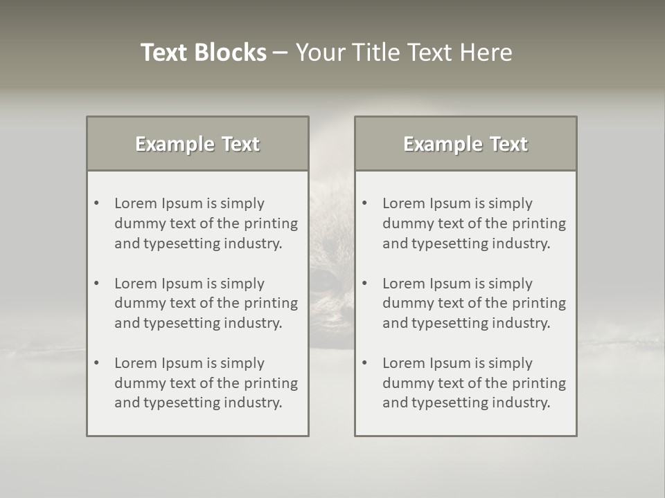 Puss Indoor Beauty PowerPoint Template