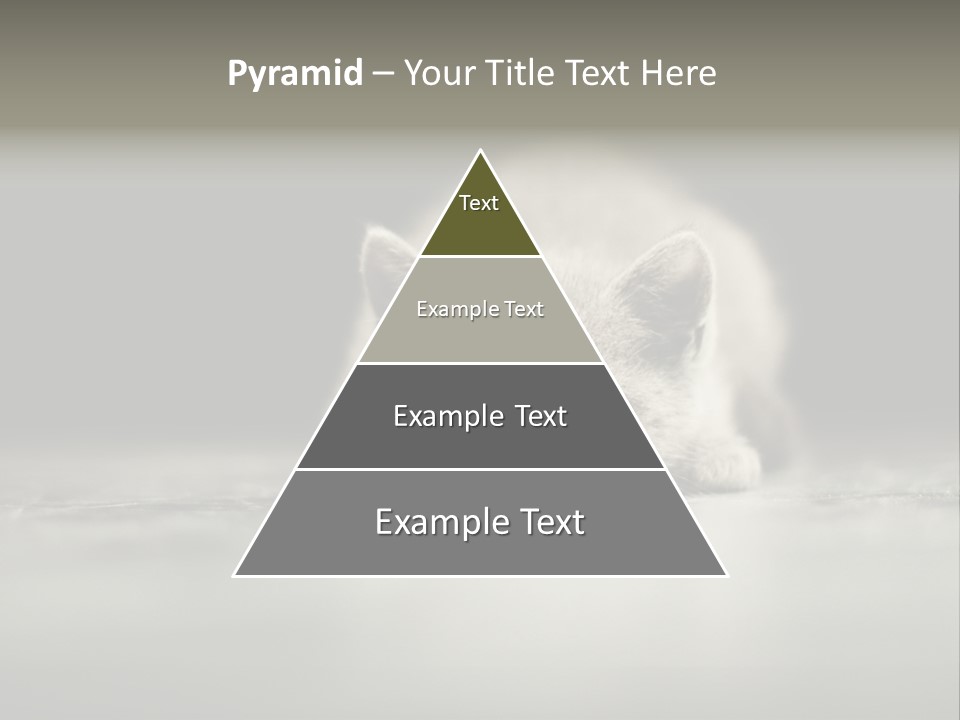 Puss Indoor Beauty PowerPoint Template