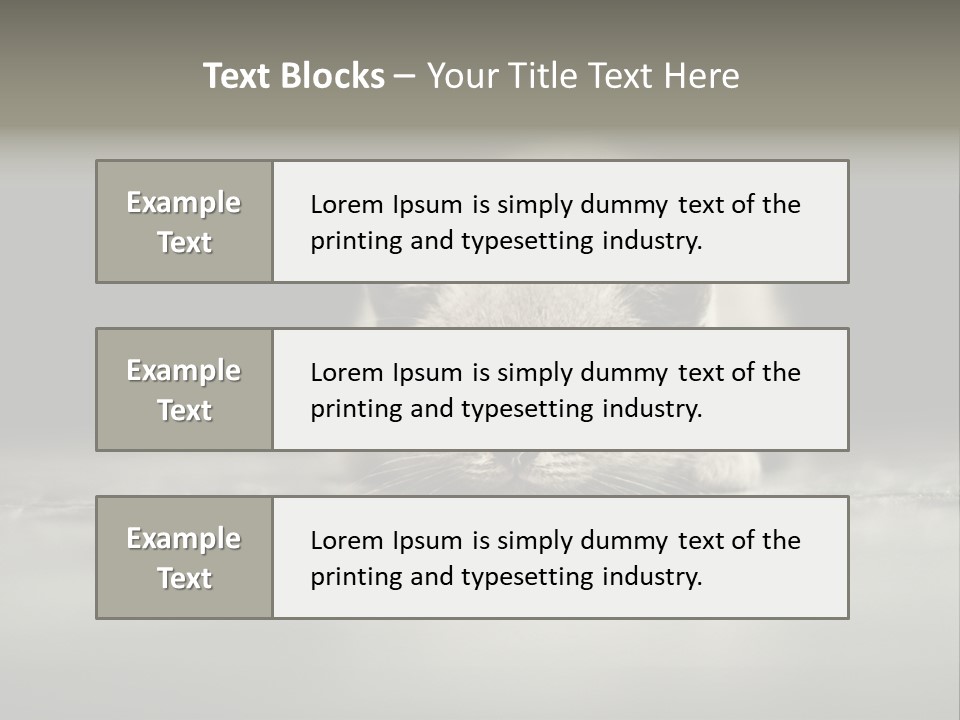 Puss Indoor Beauty PowerPoint Template