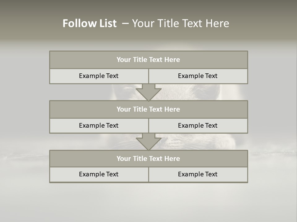 Puss Indoor Beauty PowerPoint Template
