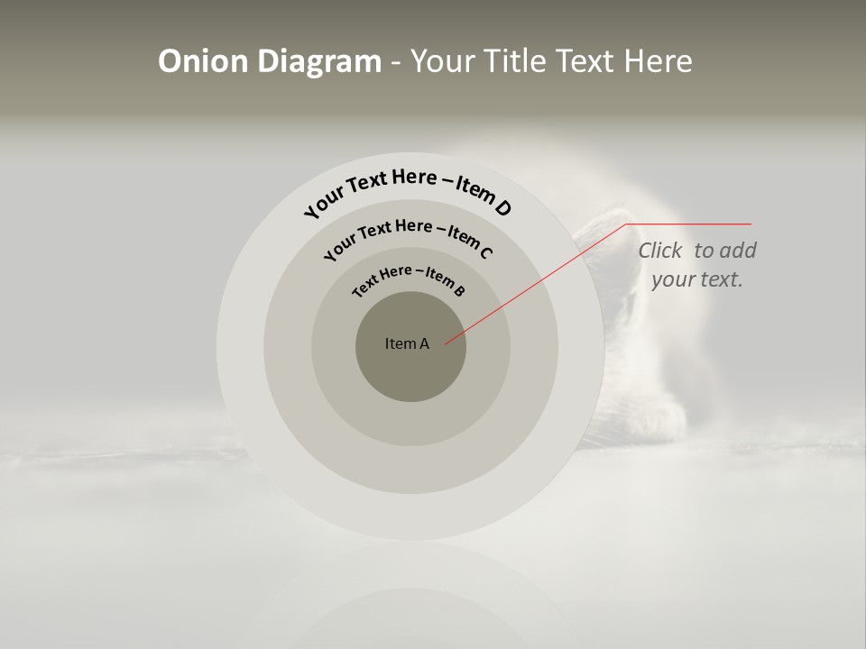 Puss Indoor Beauty PowerPoint Template