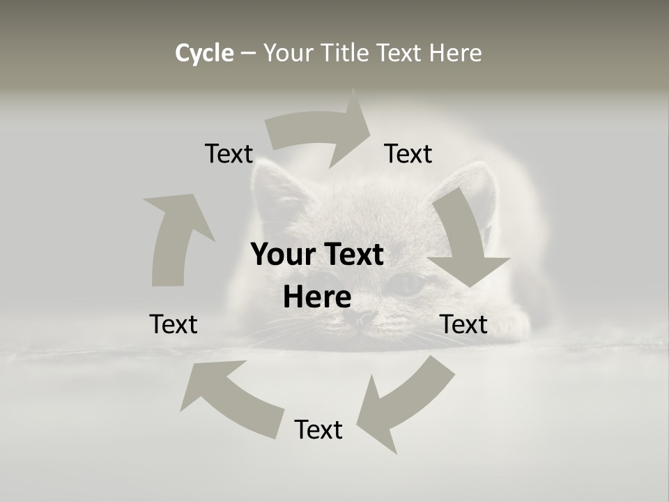 Puss Indoor Beauty PowerPoint Template