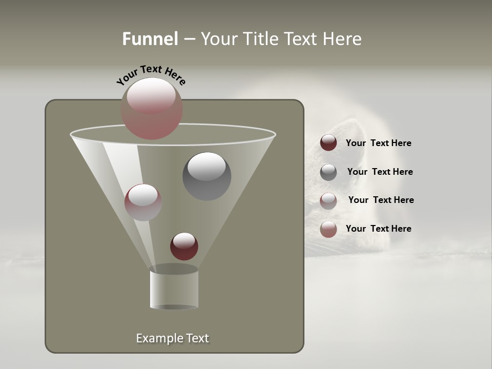 Puss Indoor Beauty PowerPoint Template