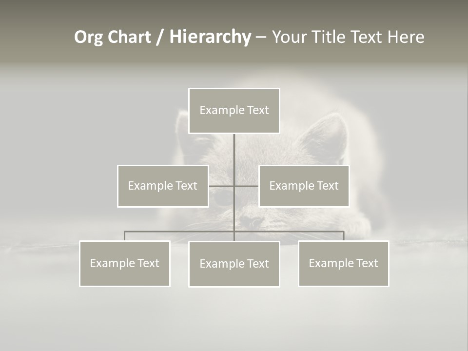 Puss Indoor Beauty PowerPoint Template