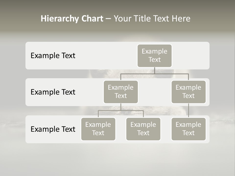 Puss Indoor Beauty PowerPoint Template