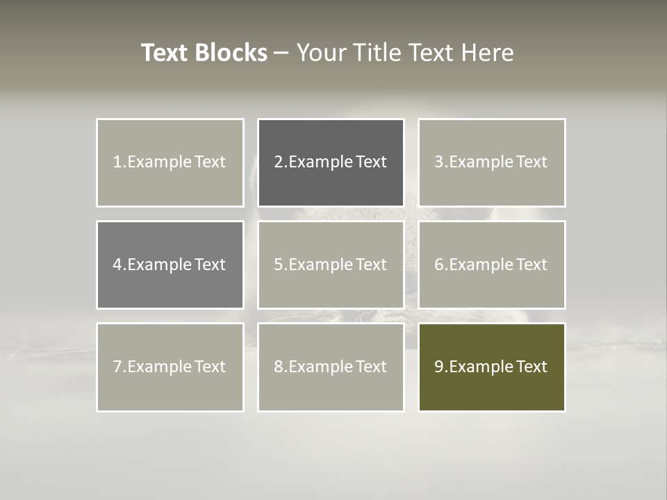 Puss Indoor Beauty PowerPoint Template
