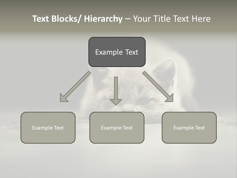 Puss Indoor Beauty PowerPoint Template