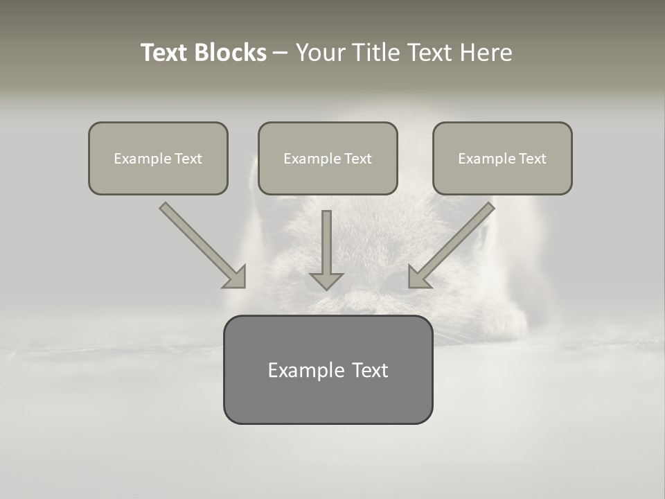 Puss Indoor Beauty PowerPoint Template