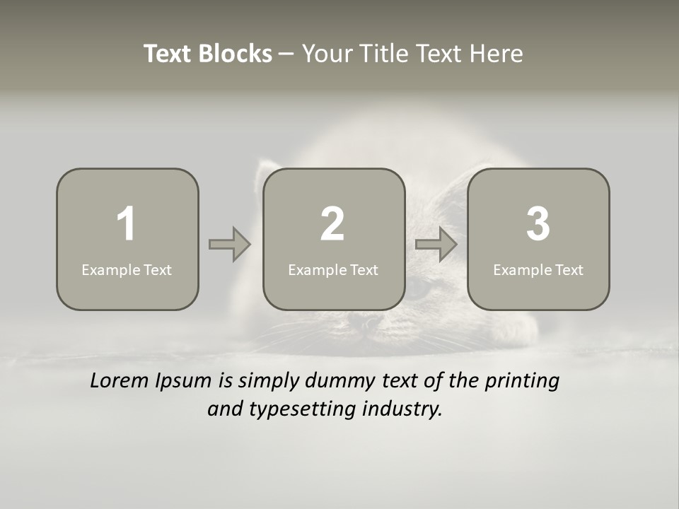 Puss Indoor Beauty PowerPoint Template