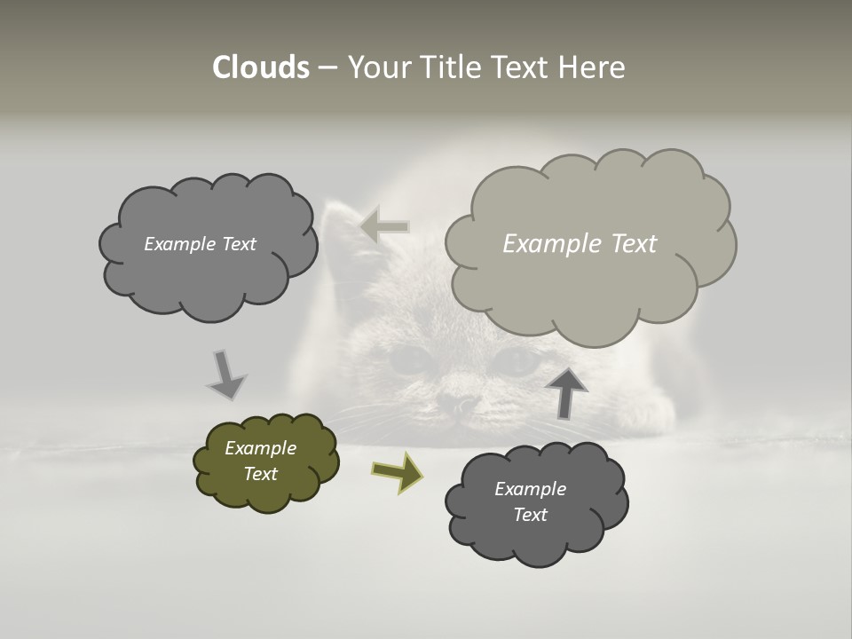 Puss Indoor Beauty PowerPoint Template