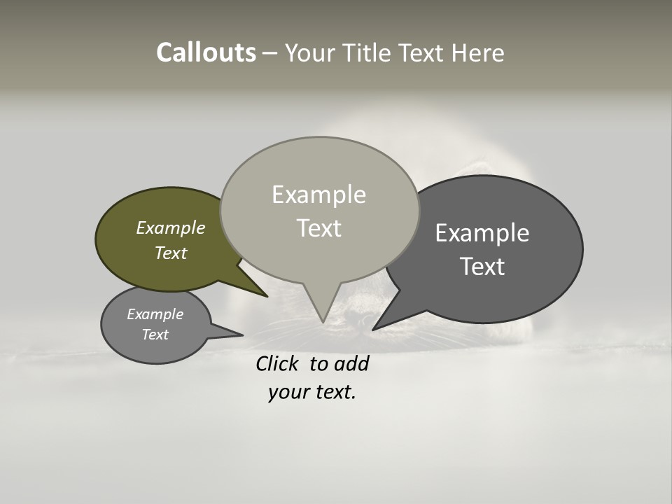 Puss Indoor Beauty PowerPoint Template