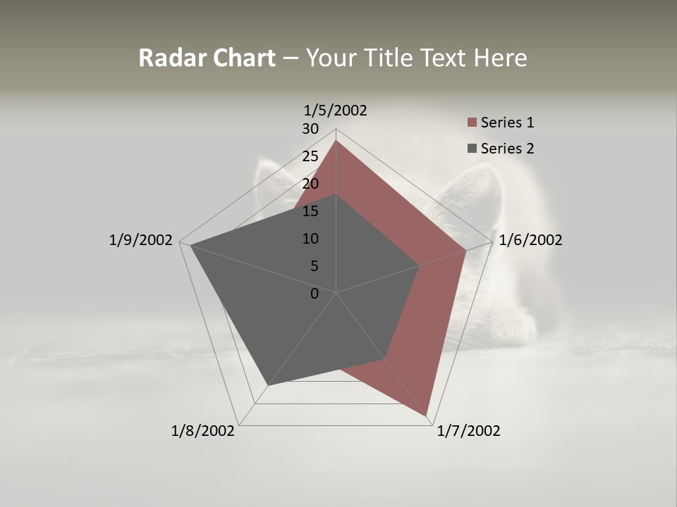 Puss Indoor Beauty PowerPoint Template