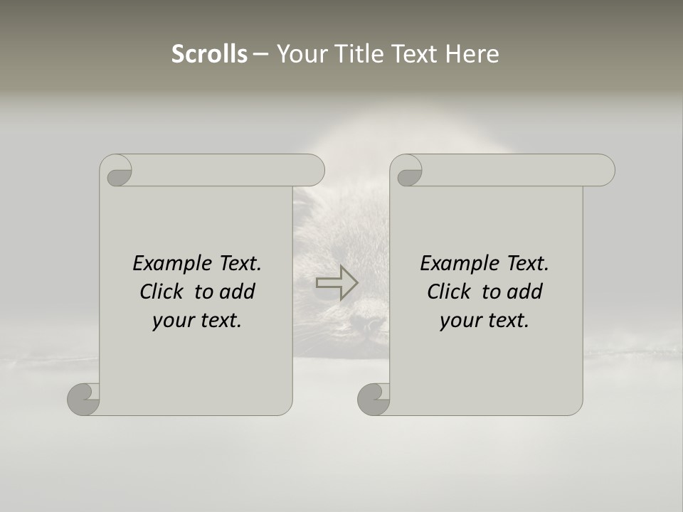 Puss Indoor Beauty PowerPoint Template