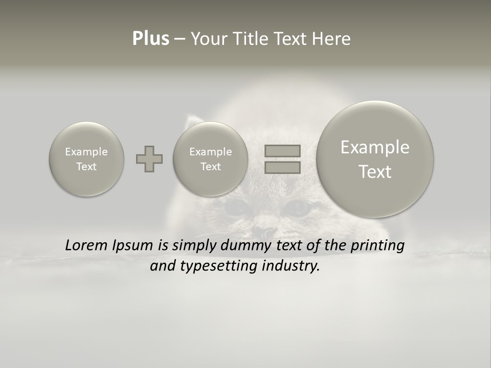 Puss Indoor Beauty PowerPoint Template