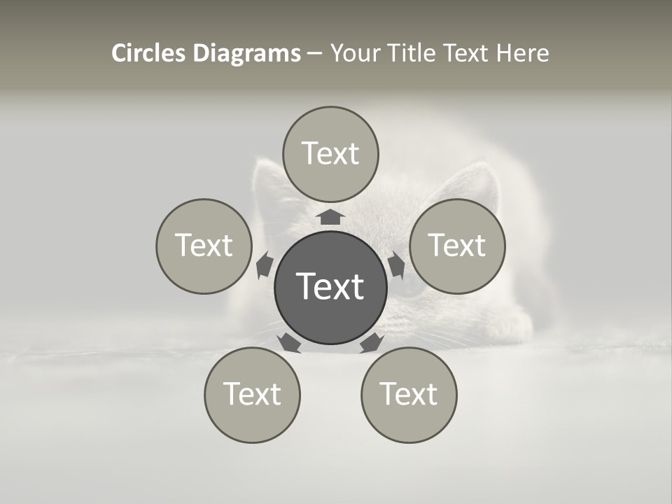 Puss Indoor Beauty PowerPoint Template