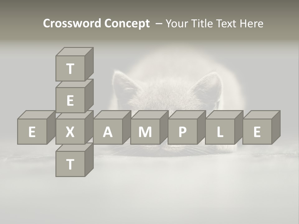Puss Indoor Beauty PowerPoint Template