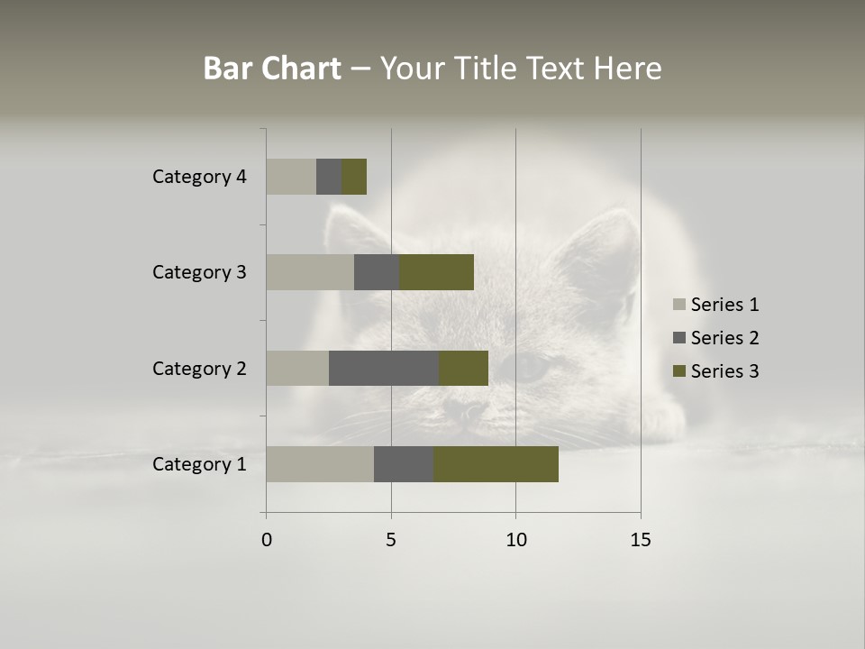 Puss Indoor Beauty PowerPoint Template