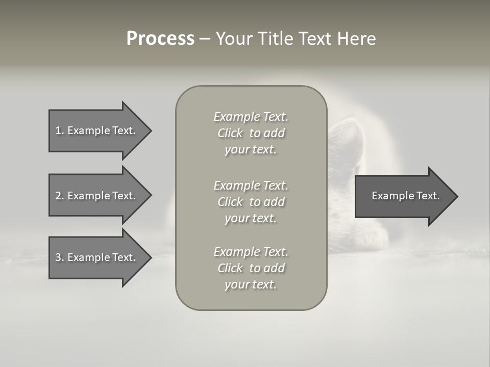 Puss Indoor Beauty PowerPoint Template