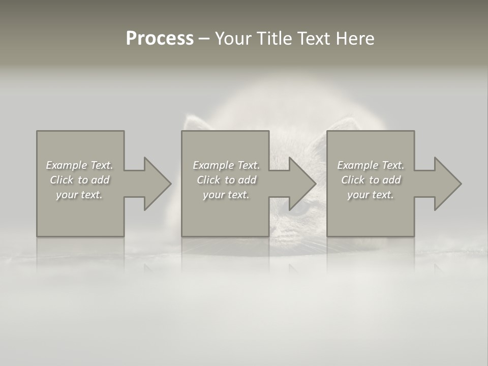 Puss Indoor Beauty PowerPoint Template