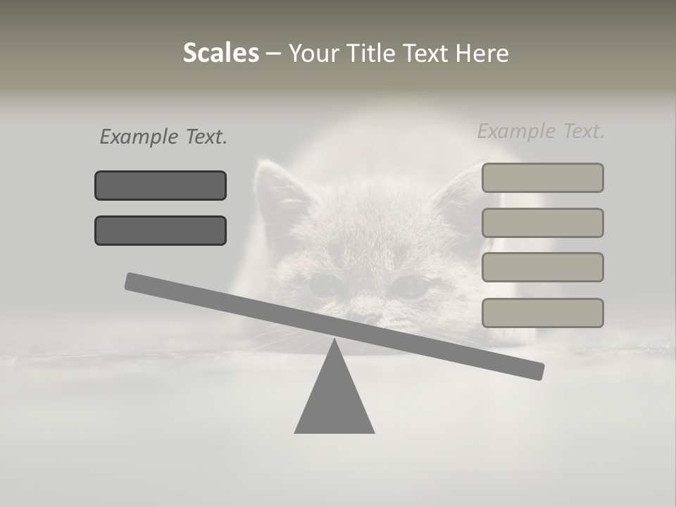 Puss Indoor Beauty PowerPoint Template